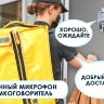 ORTHO-WQM-2MP6-MSWTF Видеокамера IP поворотная 2MP WIFI с микрофоном и динамиком