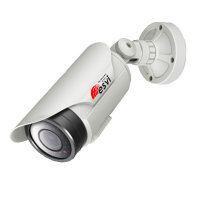 IP Видеокамера ESVI EVQ-NW351-P