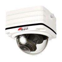 IP Видеокамера ESVI EVQ-NV431-P